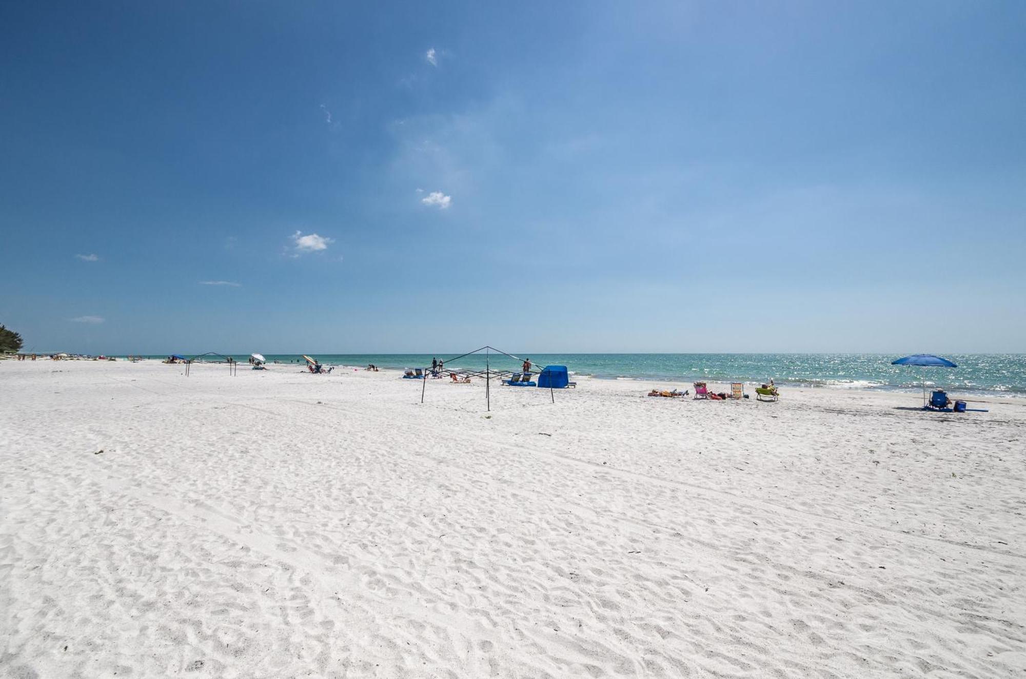 Aparthotel The Rose Clearwater Beach Exteriér fotografie